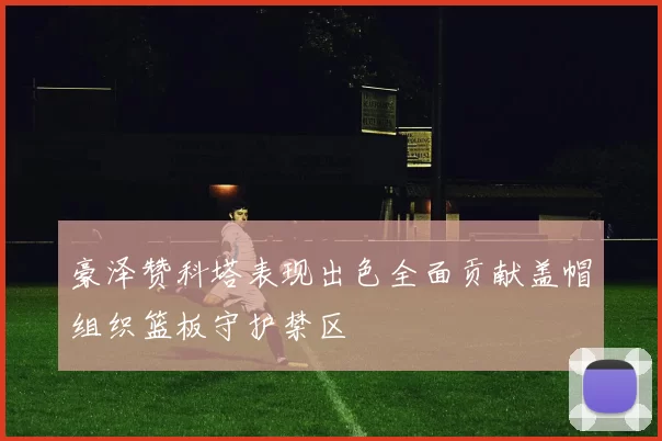 豪泽赞科塔表现出色全面贡献盖帽组织篮板守护禁区