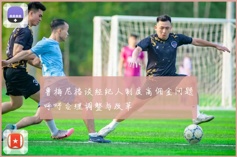 鲁梅尼格谈经纪人制度高佣金问题呼吁合理调整与改革