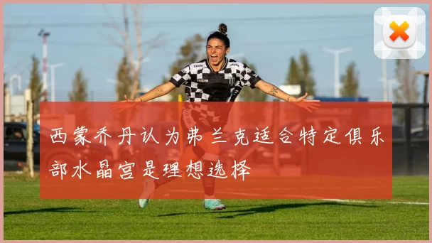 西蒙乔丹认为弗兰克适合特定俱乐部水晶宫是理想选择