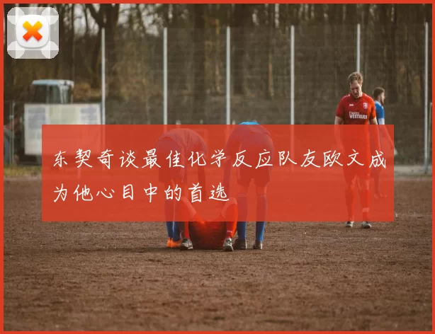 东契奇谈最佳化学反应队友欧文成为他心目中的首选